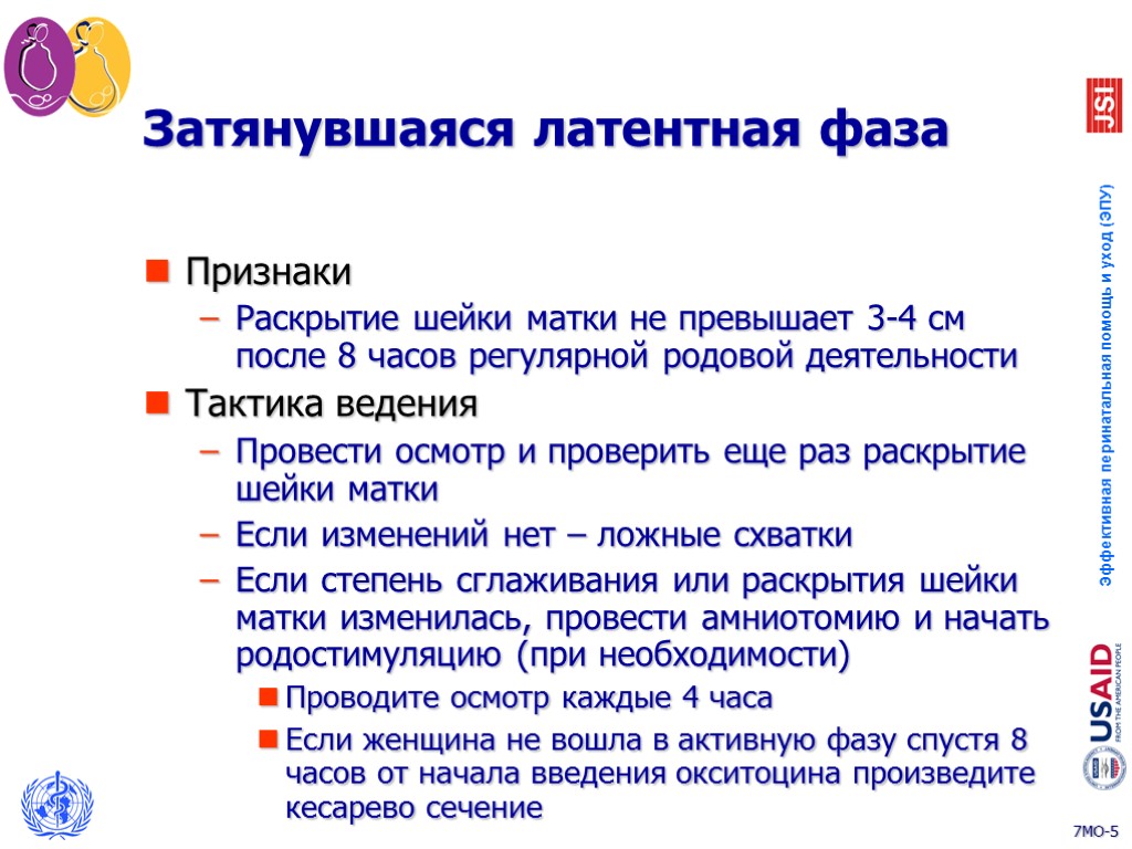 Спотлайт 7 модуль 7 b презентация